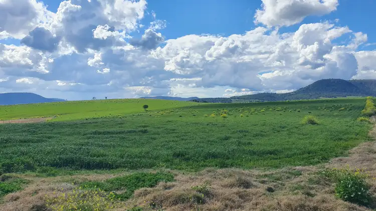 Sixth view of Homely rural property listing, LOT 9 Payne Road, Freestone QLD 4370