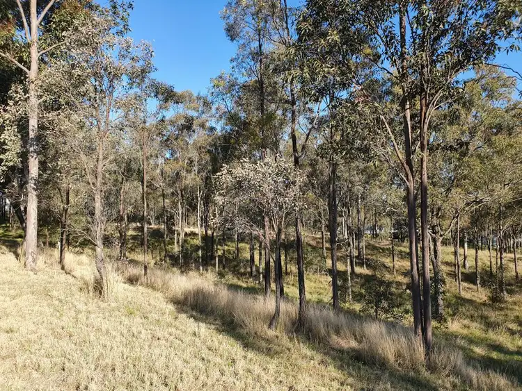 Sixth view of Homely land listing, Lot 215 Kingfisher Court, Muscle Creek NSW 2333