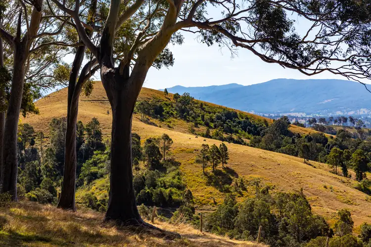 Main view of Homely rural property listing, LOT 120, 235 Myall Creek Road, Munni Via, Dungog NSW 2420