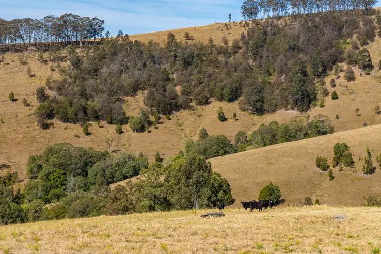Fourth view of Homely rural property listing, LOT 120, 235 Myall Creek Road, Munni Via, Dungog NSW 2420