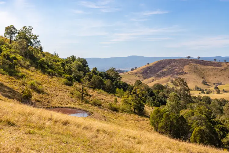 Fifth view of Homely rural property listing, LOT 120, 235 Myall Creek Road, Munni Via, Dungog NSW 2420