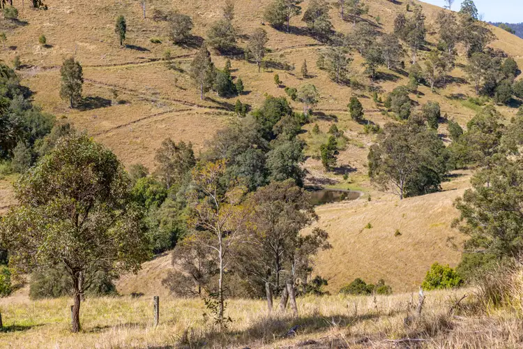 Sixth view of Homely rural property listing, LOT 120, 235 Myall Creek Road, Munni Via, Dungog NSW 2420