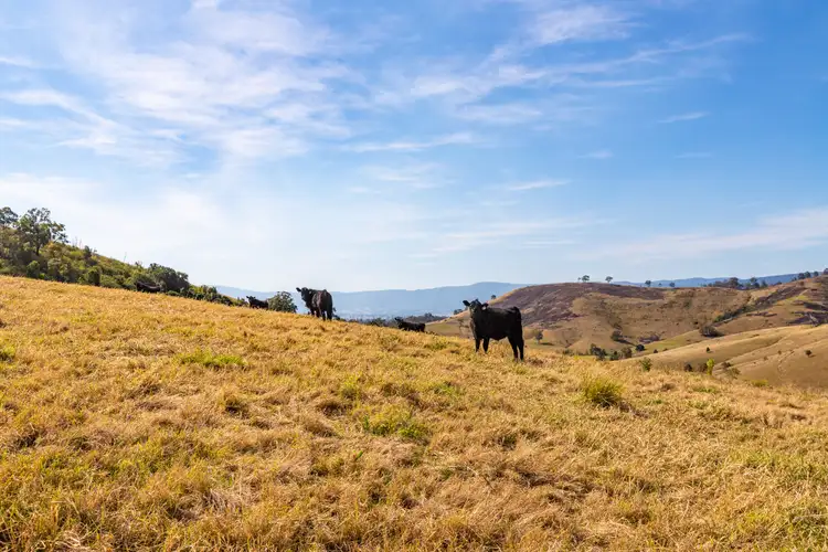 Seventh view of Homely rural property listing, LOT 120, 235 Myall Creek Road, Munni Via, Dungog NSW 2420