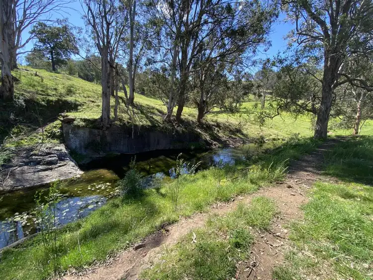 Second view of Homely rural property listing, 1023 Muscle Creek Road, Muscle Creek NSW 2333