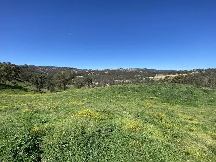 Third view of Homely rural property listing, 1023 Muscle Creek Road, Muscle Creek NSW 2333