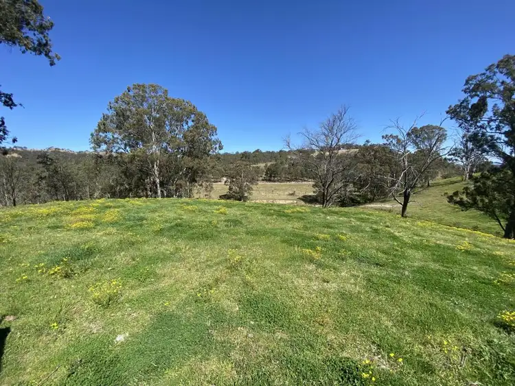 Sixth view of Homely rural property listing, 1023 Muscle Creek Road, Muscle Creek NSW 2333