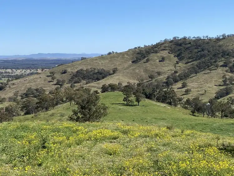 Seventh view of Homely rural property listing, 1023 Muscle Creek Road, Muscle Creek NSW 2333