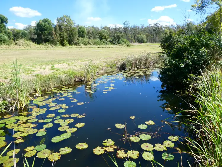 Main view of Homely rural property listing, L15 STOCKYARD ROAD, North Isis QLD 4660