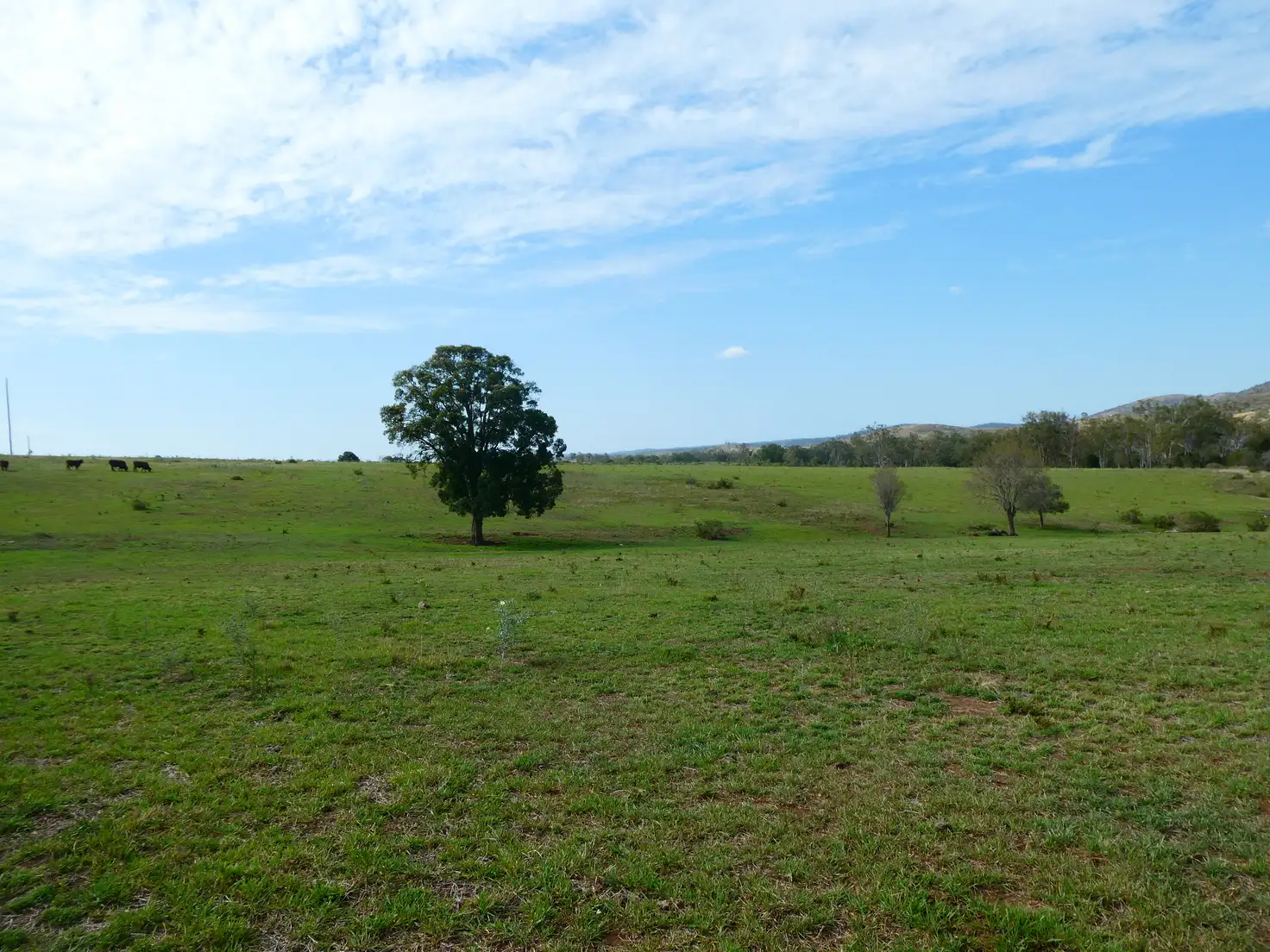 Main view of Homely rural property listing, L1 Gospel Hall Road, Dallarnil QLD 4621