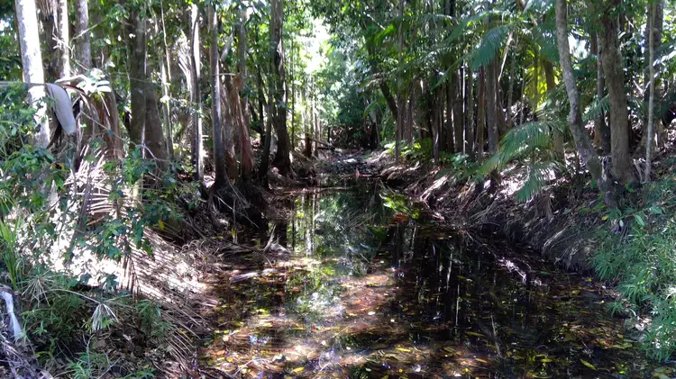 Second view of Homely rural property listing, Lot 3 Kuttabul-Mt Jukes Road, Mount Jukes QLD 4740