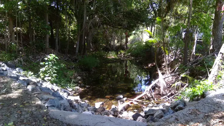 Fifth view of Homely rural property listing, Lot 3 Kuttabul-Mt Jukes Road, Mount Jukes QLD 4740
