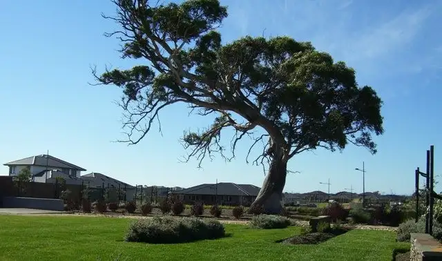 Second view of Homely house listing, 5 Crampton Chase, Sandhurst VIC 3977