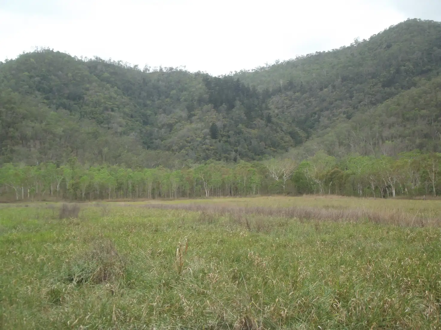 Main view of Homely rural property listing, Address available on request