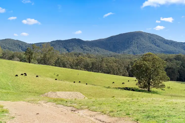 Lot 1, 36 Greys Lane, Girvan NSW 2425