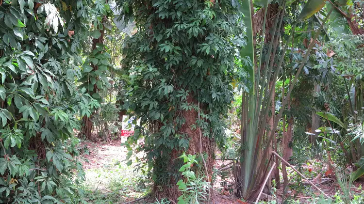 Fifth view of Homely land listing, 12 Appian Way, Arcadia QLD 4819