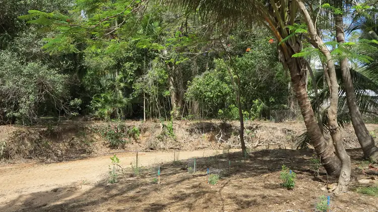 Seventh view of Homely land listing, 12 Appian Way, Arcadia QLD 4819