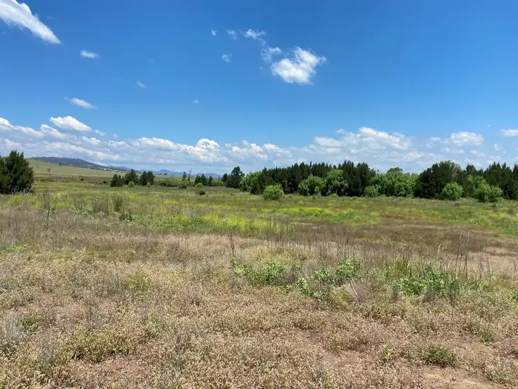 Fifth view of Homely rural property listing, 1952 Denman Road, Denman NSW 2328