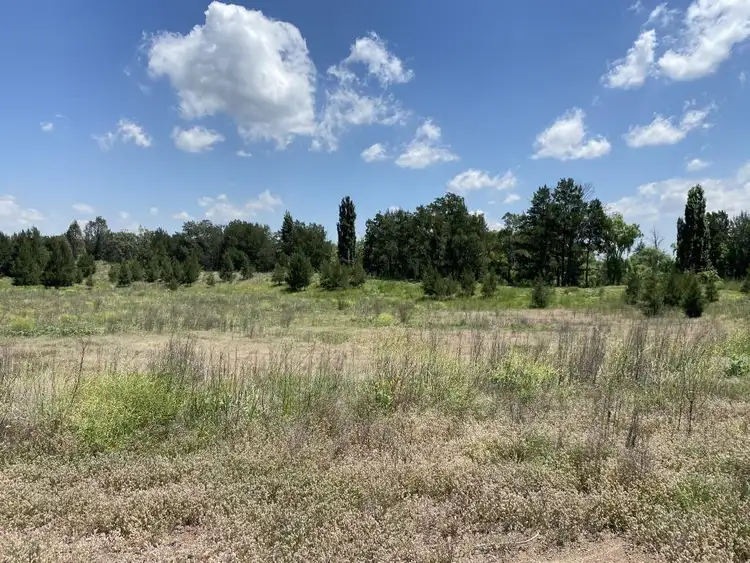 Sixth view of Homely rural property listing, 1952 Denman Road, Denman NSW 2328
