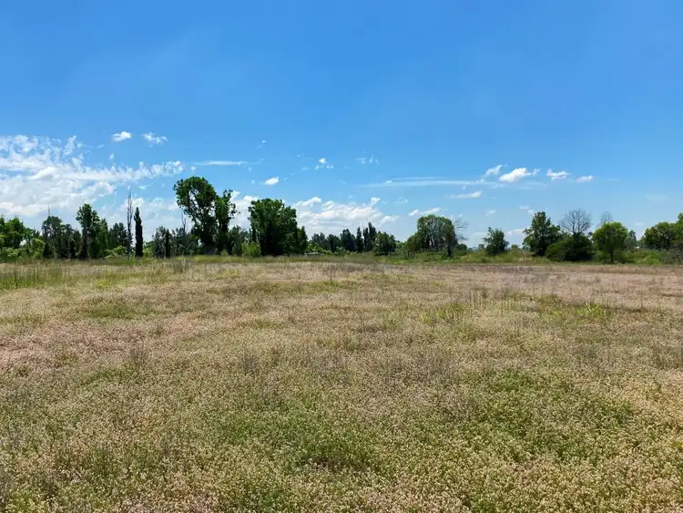 Seventh view of Homely rural property listing, 1952 Denman Road, Denman NSW 2328