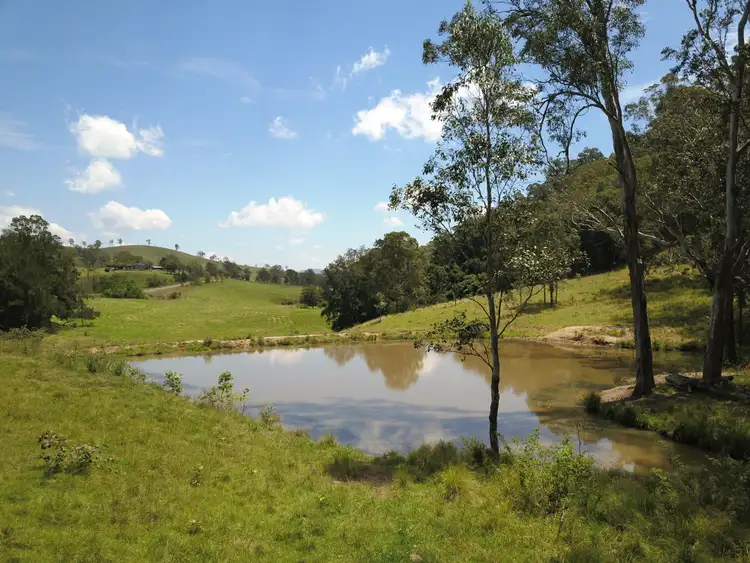 Fifth view of Homely rural property listing, 1042 Bingleburra Road, Dungog NSW 2420