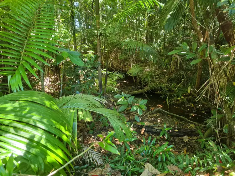 Second view of Homely land listing, 18 Russell Cunningham Street, Eungella QLD 4757