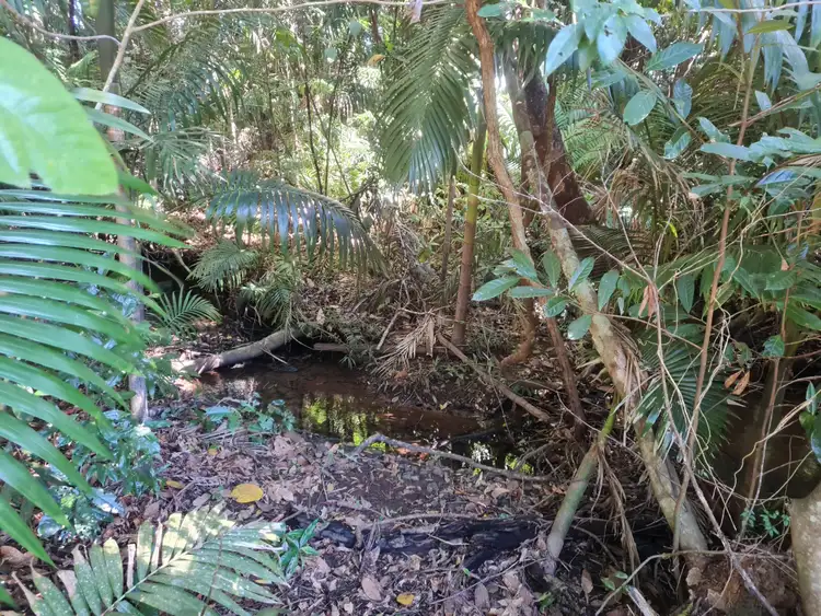 Fifth view of Homely land listing, 18 Russell Cunningham Street, Eungella QLD 4757