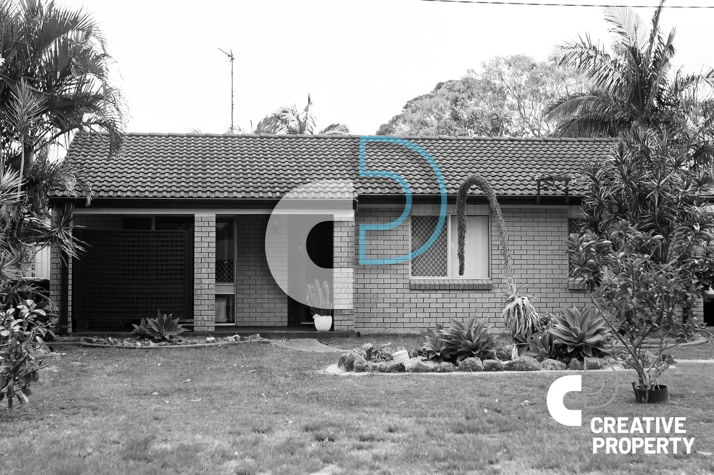 Main view of Homely house listing, 19 Lloyd George Grove, Tanilba Bay NSW 2319