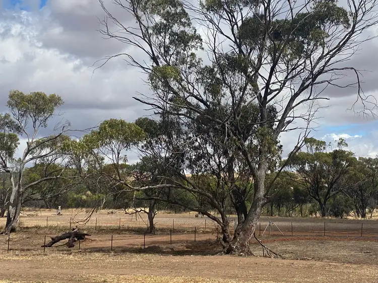 Second view of Homely land listing, 19 Bland Road, York WA 6302