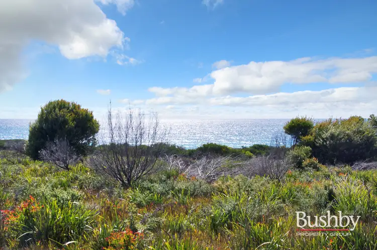 Fifth view of Homely land listing, 1778 Tasman Highway, Beaumaris TAS 7215