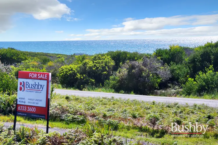 Seventh view of Homely land listing, 1778 Tasman Highway, Beaumaris TAS 7215