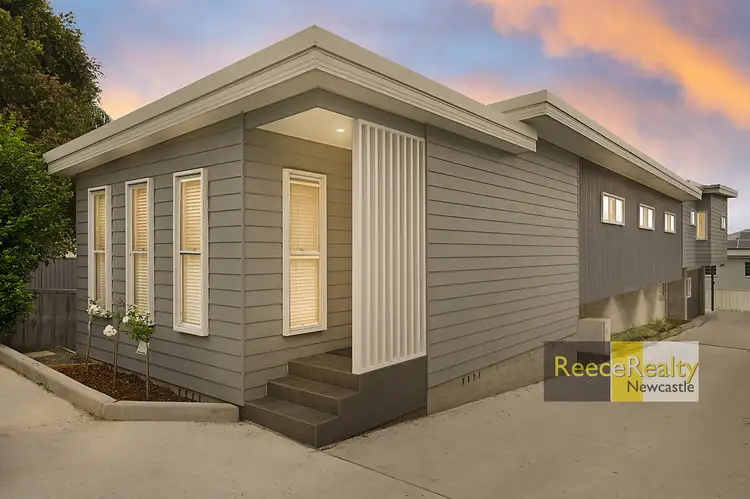 Main view of Homely house listing, 47 Lorna Street, Waratah NSW 2298