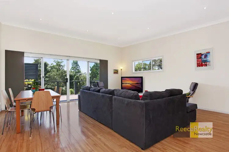 Fifth view of Homely house listing, 47 Lorna Street, Waratah NSW 2298