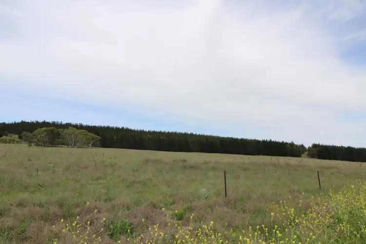 Fourth view of Homely land listing, 1 Beresford Road, Rose Valley NSW 2630
