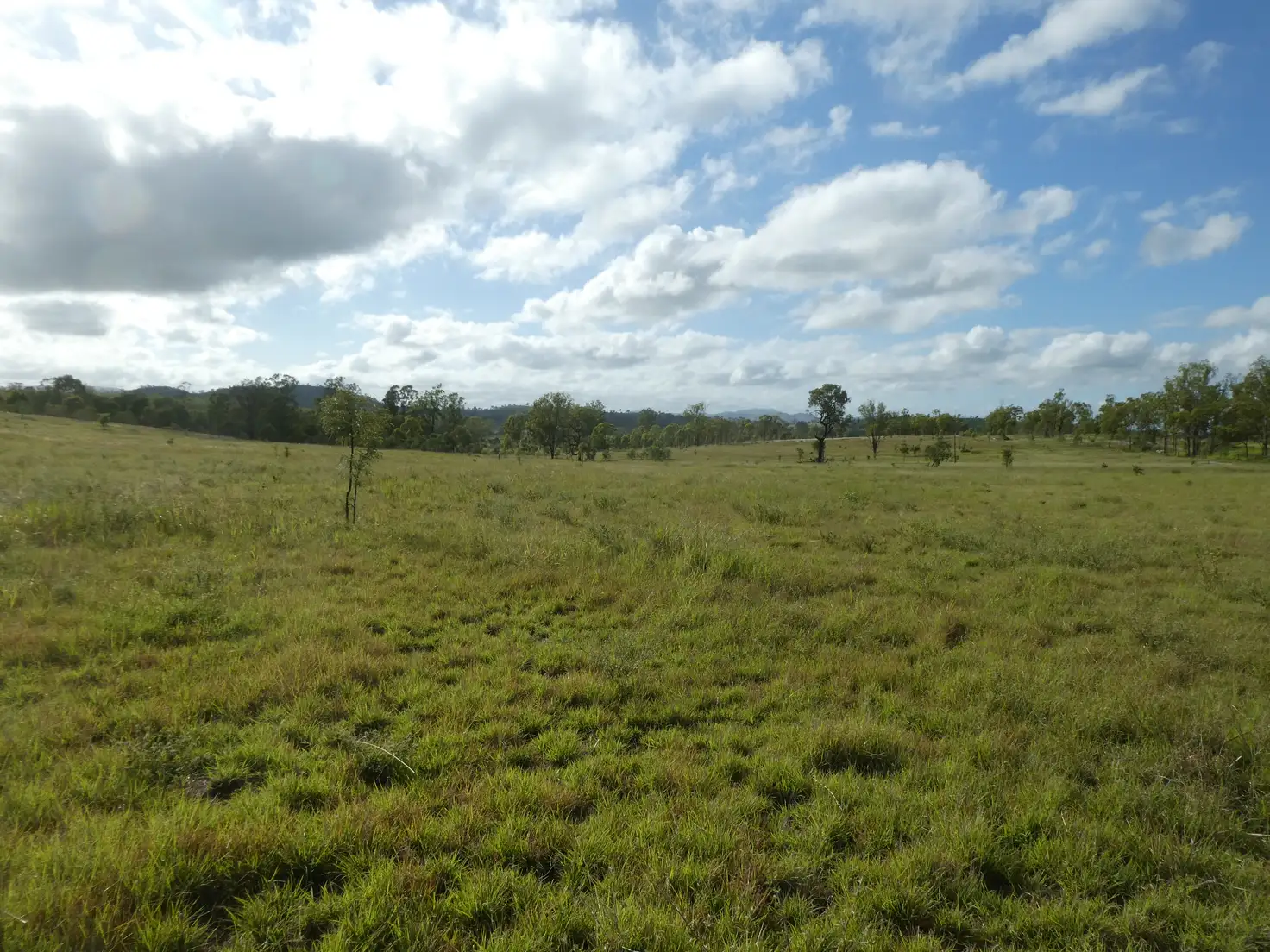 Main view of Homely rural property listing, Address available on request