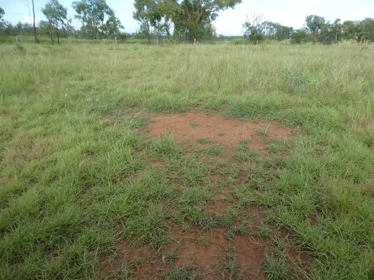 Third view of Homely rural property listing, Address available on request