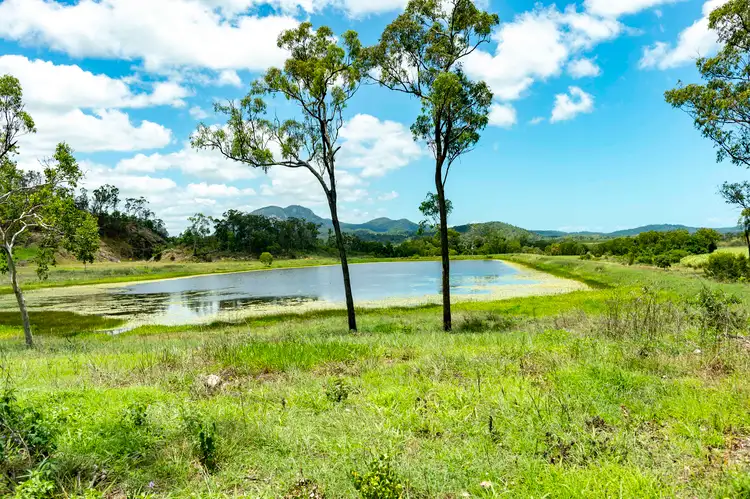 Seventh view of Homely rural property listing, 471 Olletts Road, Habana QLD 4740