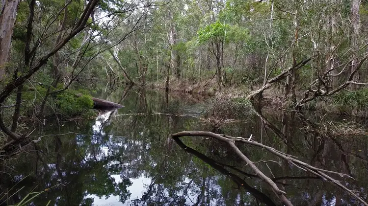 Fifth view of Homely rural property listing, 26626 Bruce hwy, Cherwell QLD 4660