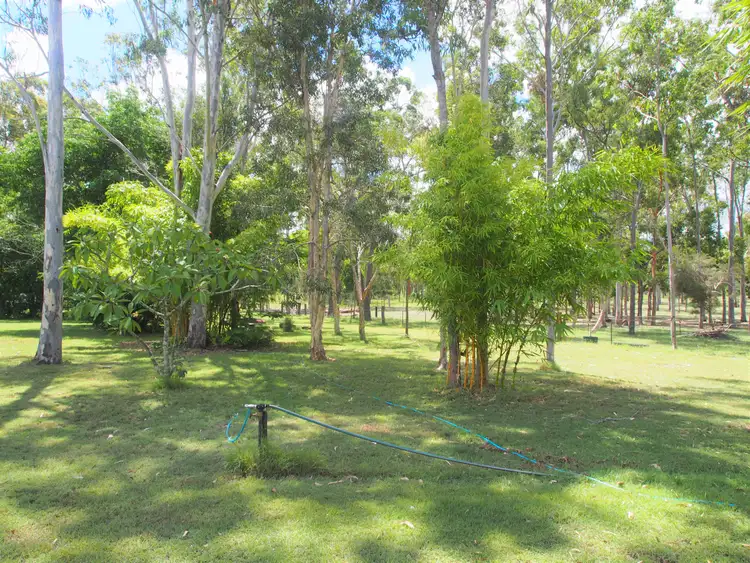 Fifth view of Homely rural property listing, 796 BUXTON ROAD, Isis River QLD 4660