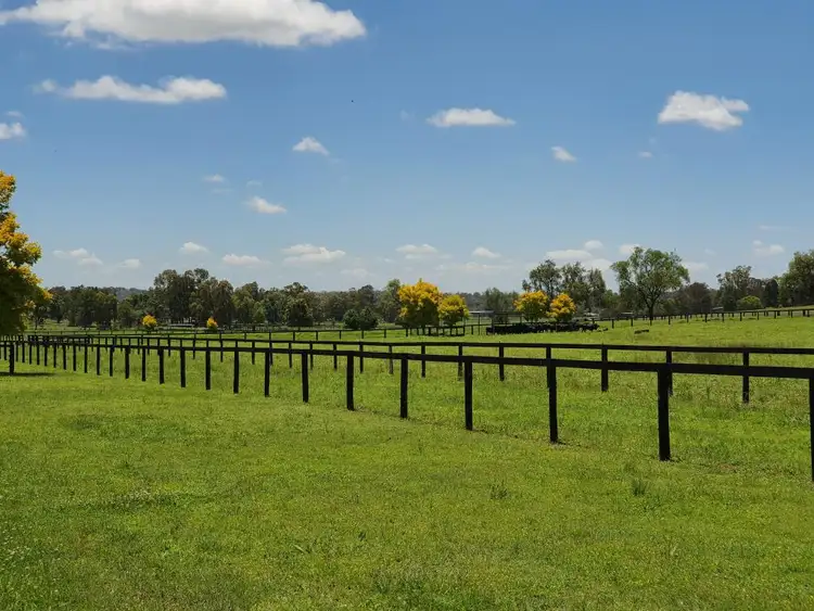 Third view of Homely rural property listing, 264 Appletree Flat Road, Jerrys Plains NSW 2330