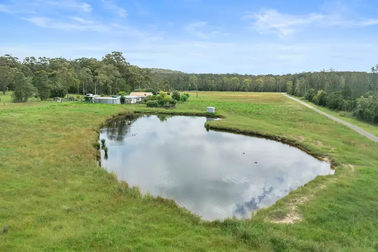 Fifth view of Homely rural property listing, 4486 Pacific Highway, Twelve Mile Creek NSW 2324