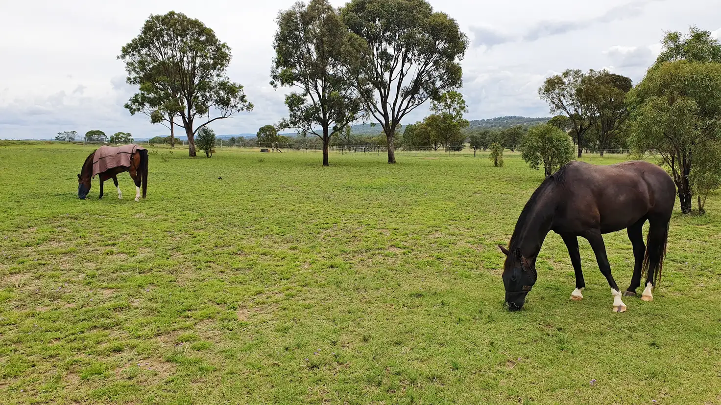 Main view of Homely rural property listing, 14255 Cunningham Highway, Warwick QLD 4370