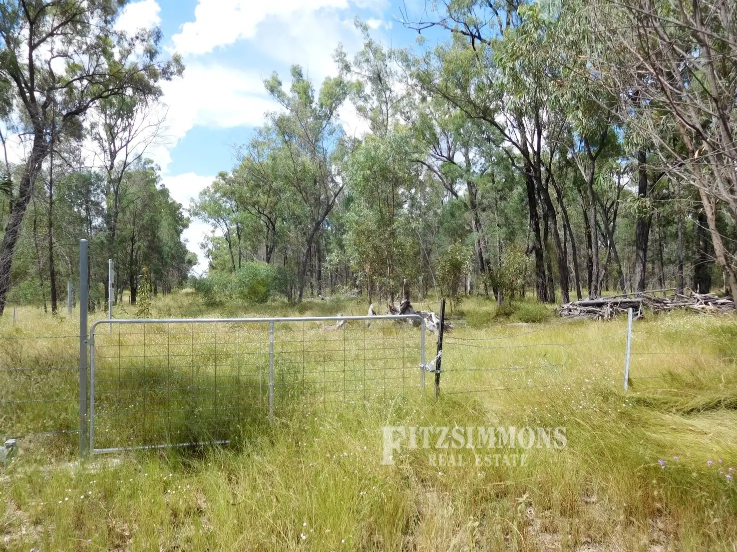 Main view of Homely rural property listing, Lot 11 Cypress Road, Dalby QLD 4405