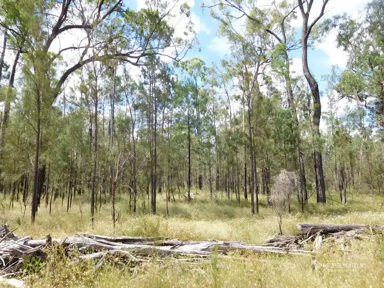 Seventh view of Homely rural property listing, Lot 11 Cypress Road, Dalby QLD 4405