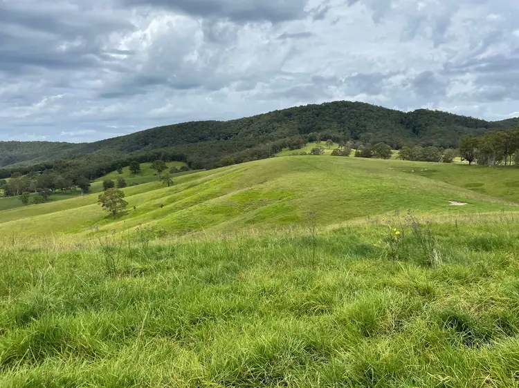 Main view of Homely rural property listing, Lot 101 Moores Road, Monkerai Via, Dungog NSW 2420