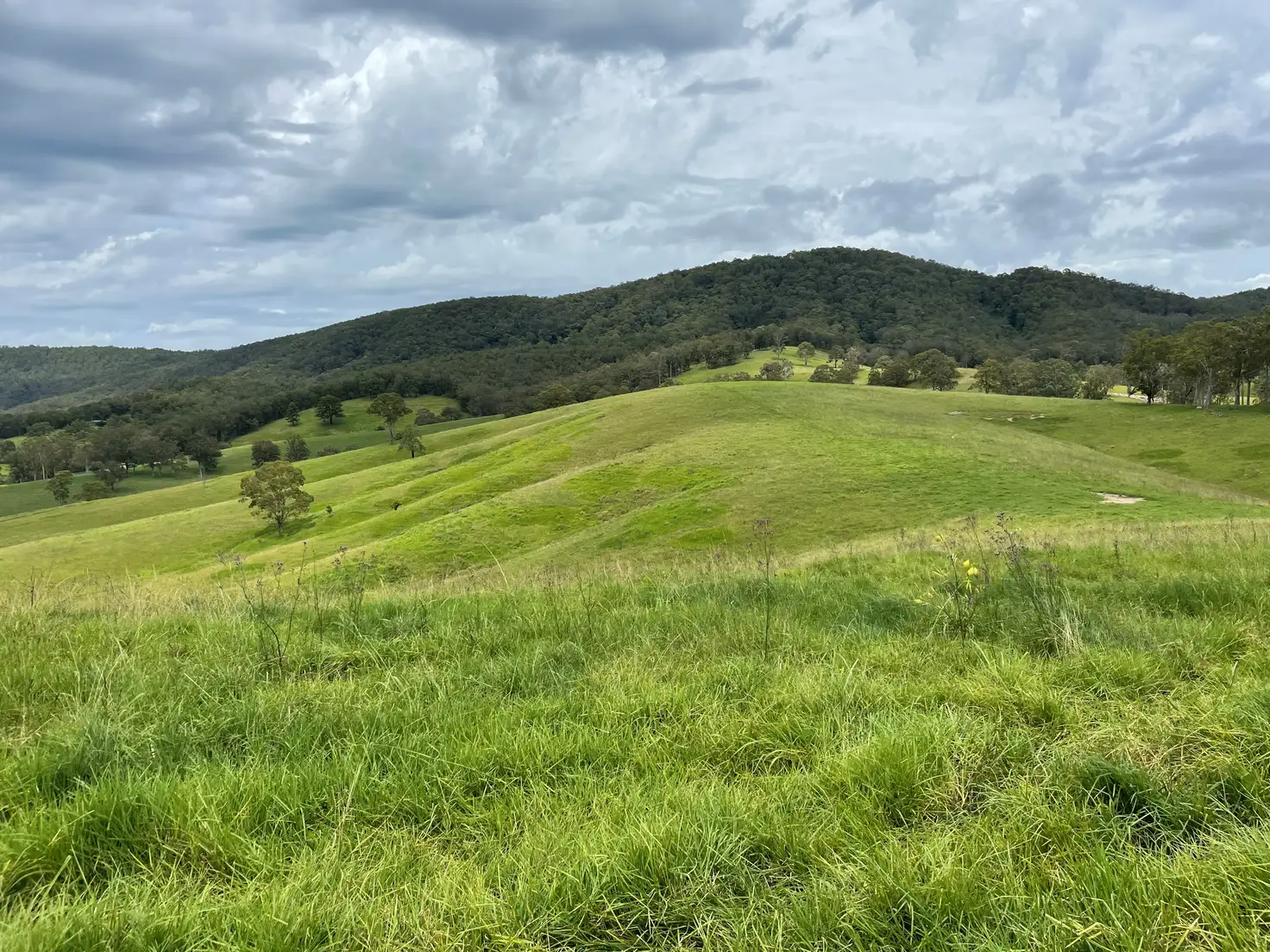 Main view of Homely rural property listing, Lot 101 Moores Road, Monkerai Via, Dungog NSW 2420
