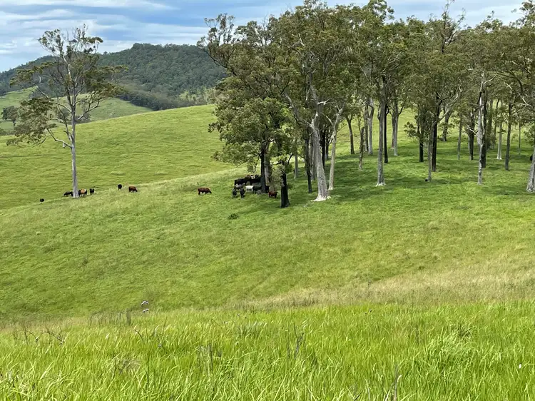 Fourth view of Homely rural property listing, Lot 101 Moores Road, Monkerai Via, Dungog NSW 2420