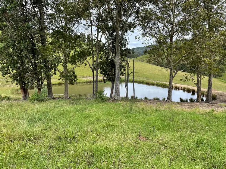 Sixth view of Homely rural property listing, Lot 101 Moores Road, Monkerai Via, Dungog NSW 2420