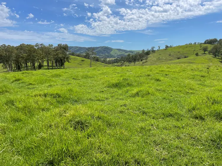 Seventh view of Homely rural property listing, Lot 101 Moores Road, Monkerai Via, Dungog NSW 2420