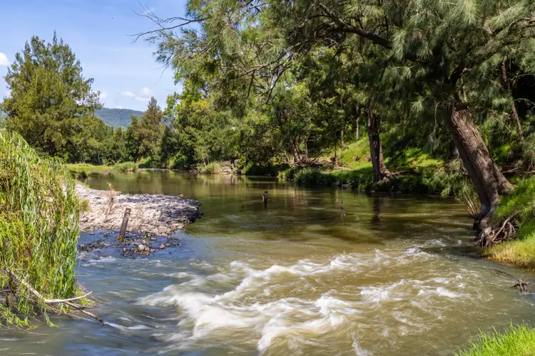 Third view of Homely rural property listing, Lot 1 Lostock School Road, Lostock Via, Gresford NSW 2311