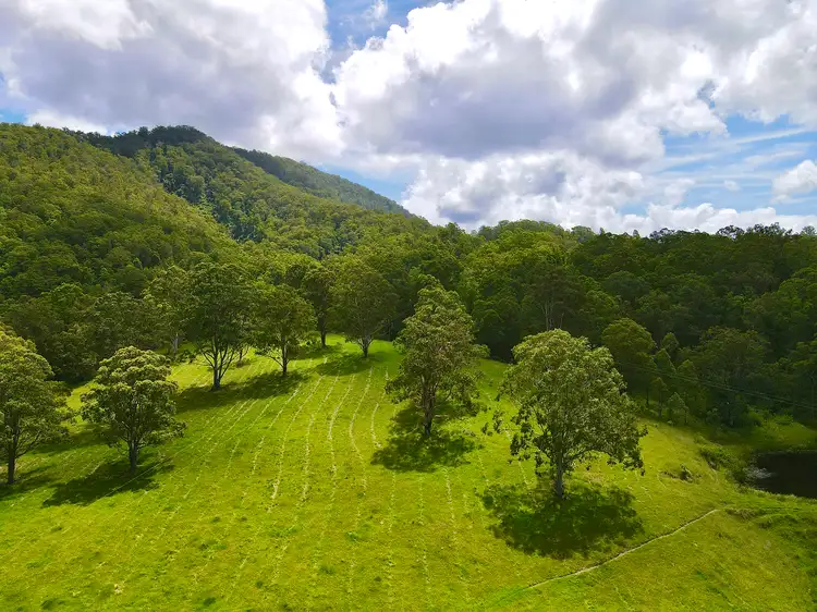 Third view of Homely rural property listing, 21 Mountain Road, Monkerai Via, Dungog NSW 2420